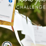 Letters and envelopes hang from an outdoor clothes line, the image of which appears under text that reads: Thank You Challenge #moore-english @mooreenglish.com