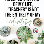 White background with green succulents in gray pot beside black and green text reading: "While teaching is an important part of my life, 'teacher' is not the entirety of my identity."