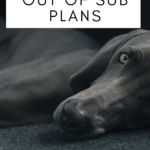 A tired looking dog rests on the floor. This image appears under text that reads: The Best Sub Plans for Language Arts #mooreenglish