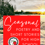 The winter sun shines over a snowy field. This appears under text that reads: Cozy Poetry and Short Stories for Winter