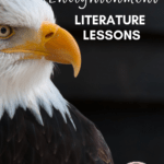 An eagle appears under text that reads: How To Engage Students In Studying The American Enlightenment