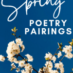 Dogwood or magnolia blossoms appear against a blue sky. This appears under text that rads: 4 Spring and Summer Poems for Teaching High School English