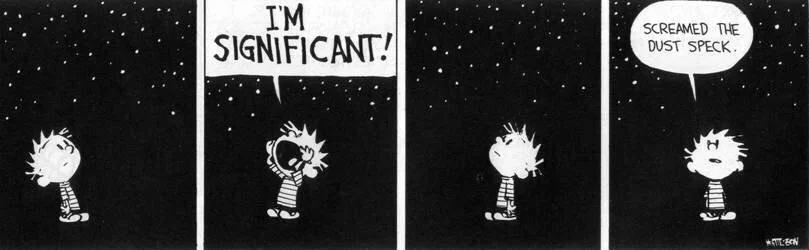 Calvin and Hobbes comic. Calvin stands against a starry black background in panel 1. In panel 2, Calvin yells to the stars, "I'm significant." In panel 3, Calvin realizes no one cares or hears. In Panel 4, Calvin says, "Screamed the dust speck."