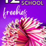 A spiral of colored pencils appears under text that reads: 12 Fun, Effortless Back-to-School Freebies for Any Age